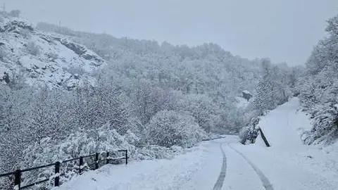 Nieve en Chanos de Sanabria - imagen cedida Jes&uacute;s Guerra_12