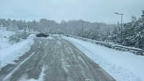 temporal Ingrid  (2)