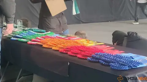 perros, ABKC San Ant&oacute;n Trophy_7