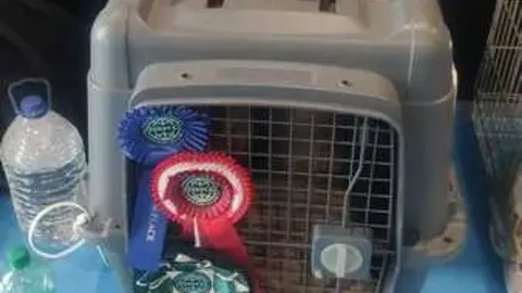 perros, ABKC San Ant&oacute;n Trophy_14