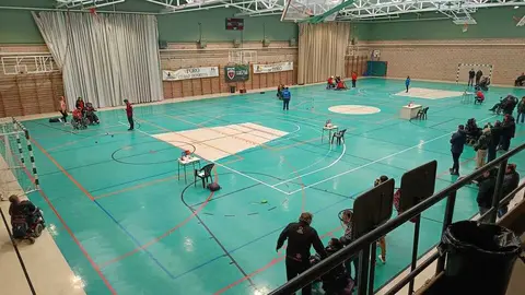 Toro Liga Boccia