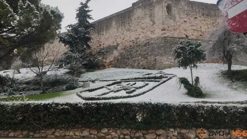 Nieve Zamora capital 