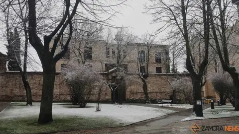 Nieve Zamora capital _3