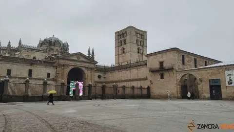 Nieve Zamora capital _4