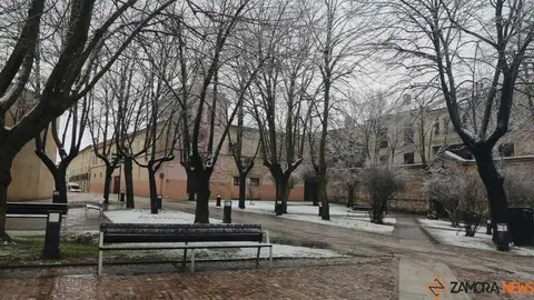 Nieve Zamora capital _6