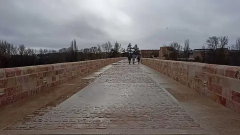 Agua acumulada en el Puente de Piedra