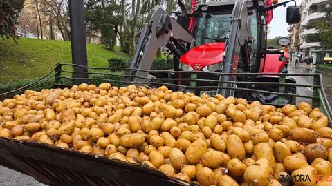 Los tractores toman Zamora_9