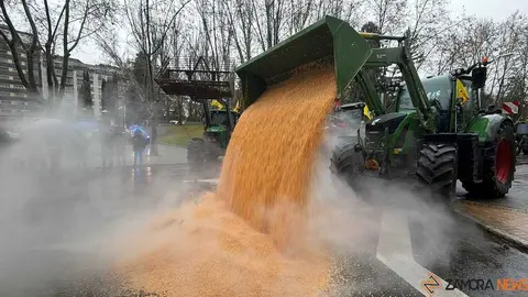 Los tractores toman Zamora_24