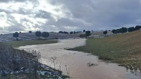 Parcela donde se pretende construir una planta de biog&aacute;s