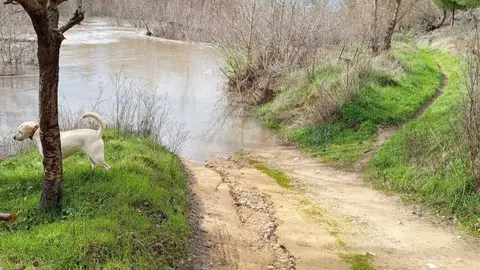 Sendero de las Fuentes Toro - imagen redes Ayt. de Toro