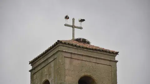 &aacute;guedas bermillo 2026_72