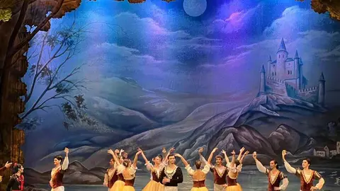 Lago de los Cisnes _11