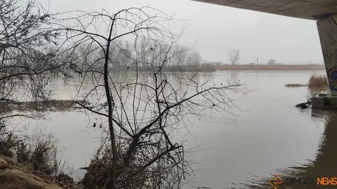  El Duero inunda ace&ntilde;as y paseos a su paso por Zamora_2