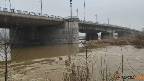  El Duero inunda ace&ntilde;as y paseos a su paso por Zamora_7