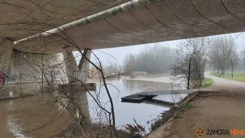  El Duero inunda ace&ntilde;as y paseos a su paso por Zamora_6