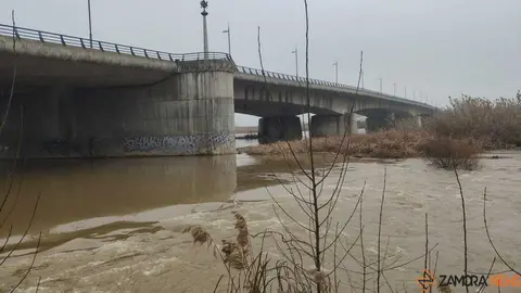  El Duero inunda ace&ntilde;as y paseos a su paso por Zamora_8