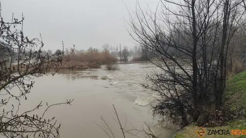  El Duero inunda ace&ntilde;as y paseos a su paso por Zamora_9