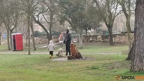  El Duero inunda ace&ntilde;as y paseos a su paso por Zamora_10
