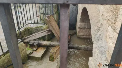  El Duero inunda ace&ntilde;as y paseos a su paso por Zamora_14