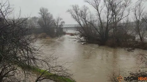  El Duero inunda ace&ntilde;as y paseos a su paso por Zamora_16