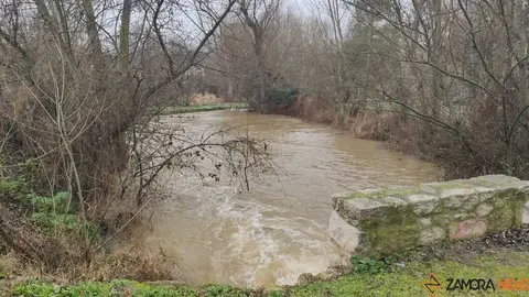  El Duero inunda ace&ntilde;as y paseos a su paso por Zamora_24