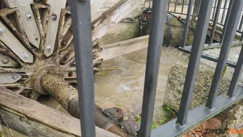  El Duero inunda ace&ntilde;as y paseos a su paso por Zamora_26