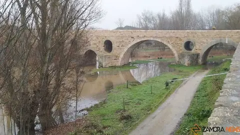  El Duero inunda ace&ntilde;as y paseos a su paso por Zamora_29