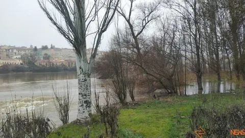  El Duero inunda ace&ntilde;as y paseos a su paso por Zamora_31