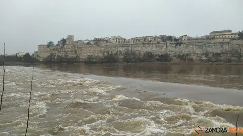  El Duero inunda ace&ntilde;as y paseos a su paso por Zamora_33