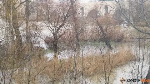  El Duero inunda ace&ntilde;as y paseos a su paso por Zamora_36