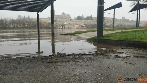  El Duero inunda ace&ntilde;as y paseos a su paso por Zamora_38