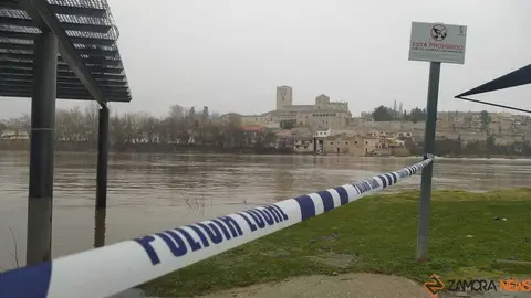  El Duero inunda ace&ntilde;as y paseos a su paso por Zamora_39