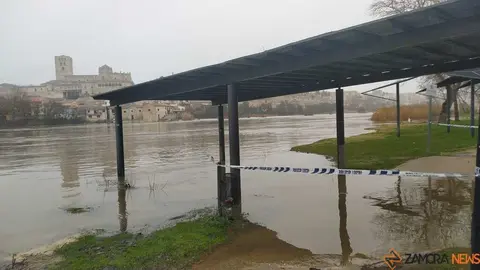  El Duero inunda ace&ntilde;as y paseos a su paso por Zamora_41