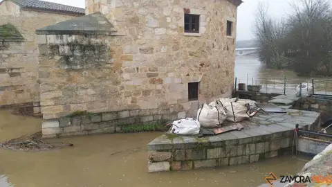  El Duero inunda ace&ntilde;as y paseos a su paso por Zamora_45