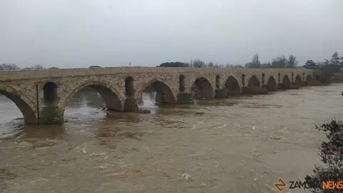  El Duero inunda ace&ntilde;as y paseos a su paso por Zamora_48