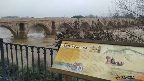  El Duero inunda ace&ntilde;as y paseos a su paso por Zamora_49