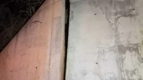 Puente entre Quiruelas de Vidriales y Quintanilla de Urz