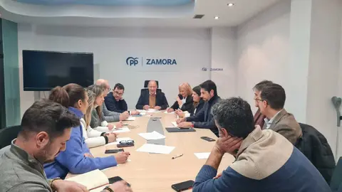 Comit&eacute; direcci&oacute;n PP de Zamora