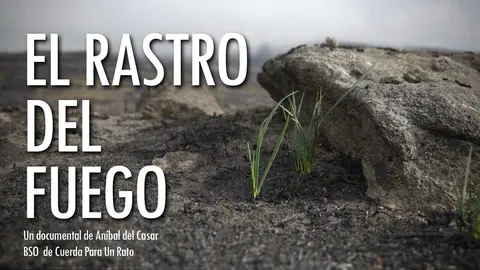 Imagen de uno de los documentales