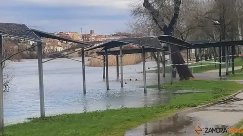 crece el r&iacute;o Duero Zamora _23