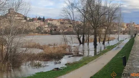 crece el r&iacute;o Duero Zamora _25