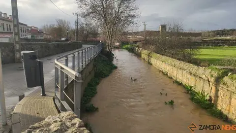 crece el r&iacute;o Duero Zamora _30
