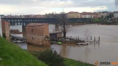 crecida el r&iacute;o Duero Zamora _2