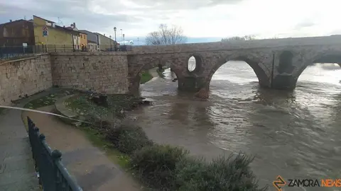 crecida el r&iacute;o Duero Zamora _7