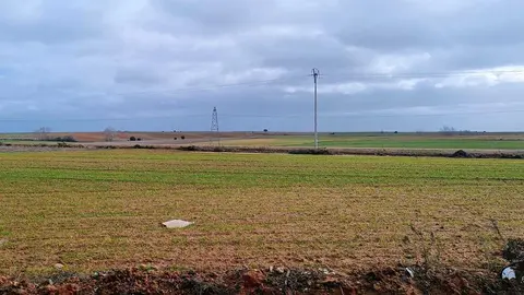 Tierra sembrada en un pueblo de Zamora
