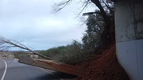 QUINTANILLA DE URZ Y QUIRUELAS TRAS EL DESPRENDIMIENTO DE LA ALETA DEL PASO BAJO LA A-52