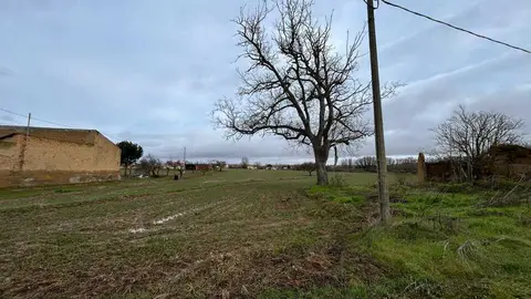 temporal en Benavente  (4)