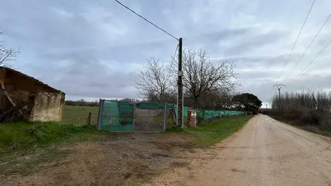temporal en Benavente  (5)