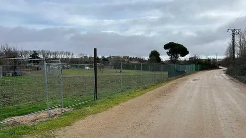 temporal en Benavente  (6)