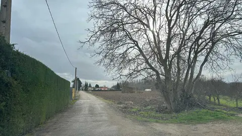 temporal en Benavente  (7)